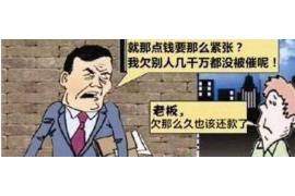 安阳企业清欠服务